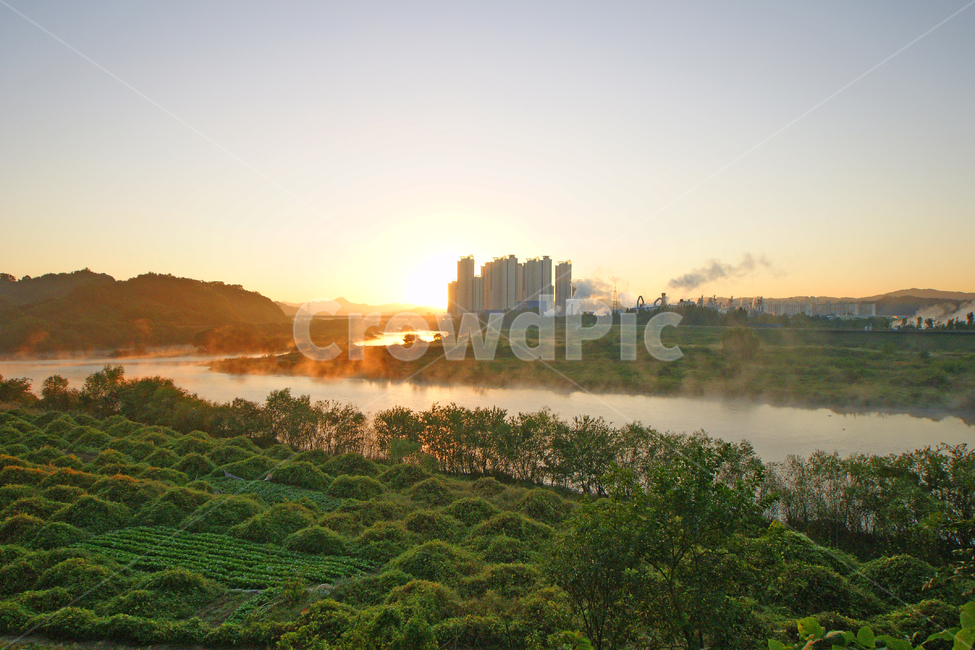 일출,금강,물안개,신탄진,갑천,자연,풍경,nature,landscape,outdoors,옥외,light,빛,flare,플레어