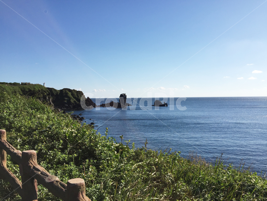 제주도,울타리,식물,바다,섭지코지,청명한,풀,자연,풍경,nature,landscape,한국자연풍경,한국자연경관,korea nature landscape,제주도,jeju,jeju island,outdoors,옥외,land,땅,promontory,곶,water,물,sea,ocean,대양,shoreline,해안선