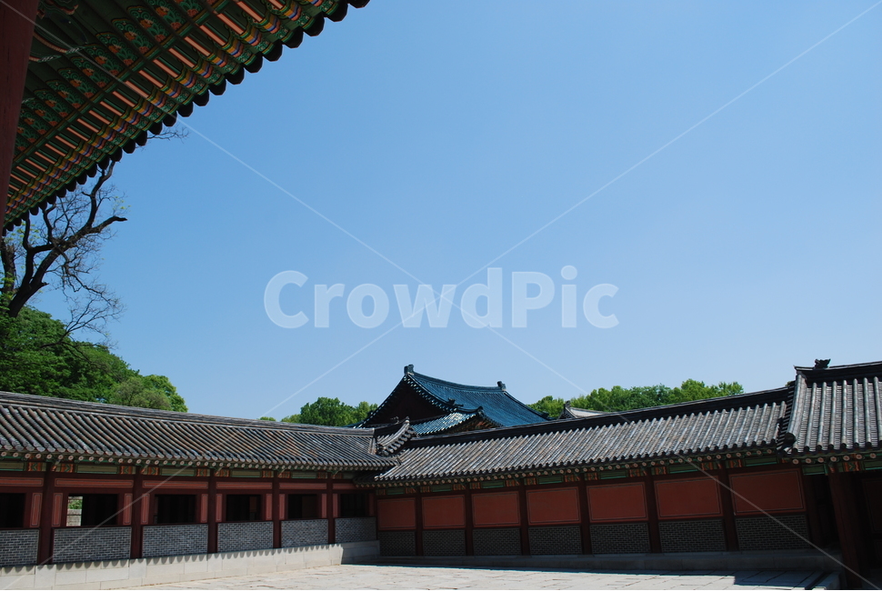 창덕궁,고궁,기와지붕,단층,회랑,한국전통,한국문화,korean traditional,korean culture,랜드마크,landmark,tourist attraction,한국랜드마크,한국관광지,한국명소,korea landmark,korea tourist attraction,건축물,건물외관,exterior,building,structure,architecture,construction