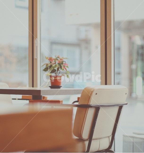 furniture,가구,chair,의자,wood,나무,flooring,바닥,카페,cafe
