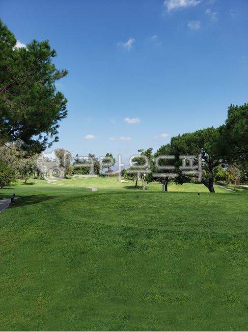 골프,스포츠,골프장,골프페어웨이,페어웨이,골프그린,golf,골프라운딩,골프장전경,초록잔디,잔디,나무,field,필드,nature,자연,outdoors,옥외,golfcourse,골프코스,sport,하늘