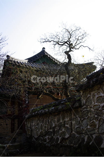 전각,사찰,돌담,기와지붕,전통,한국전통,한국문화,korean traditional,korean culture,건축물,건물외관,exterior,building,structure,architecture,construction