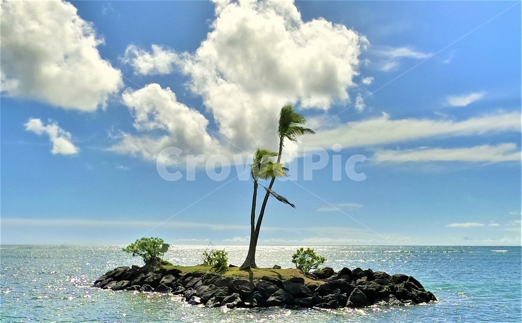 무인도,섬,island,ocean,태평양,pacificocean,여름,계절,summer,season,자연,풍경,nature,landscape,식물,plants,나무,trees,wood