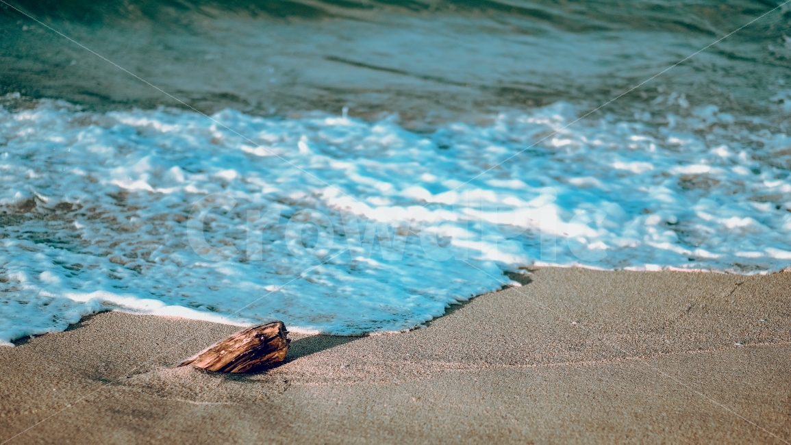 바다,해변,나무,파도,감성,해변,바다,beach,sea,감성,sensible,feeling