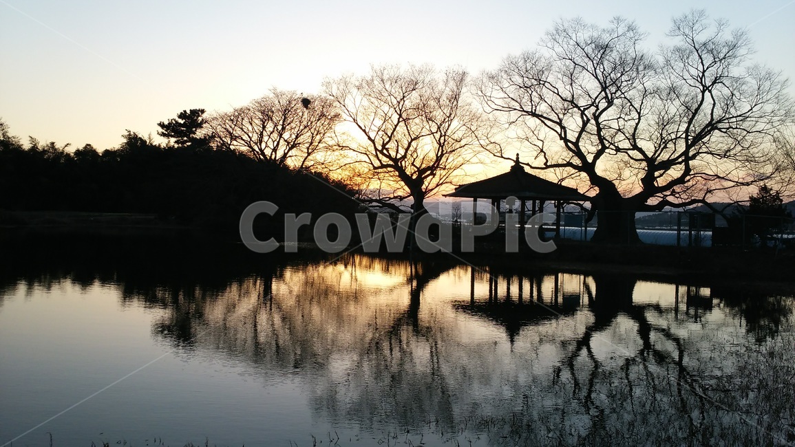 석양,도금지,정자,느티나무,이팝나무,자연,풍경,nature,landscape,한국자연풍경,한국자연경관,korea nature landscape,실루엣,그림자,silhouette,shadow,gazebo,전망대