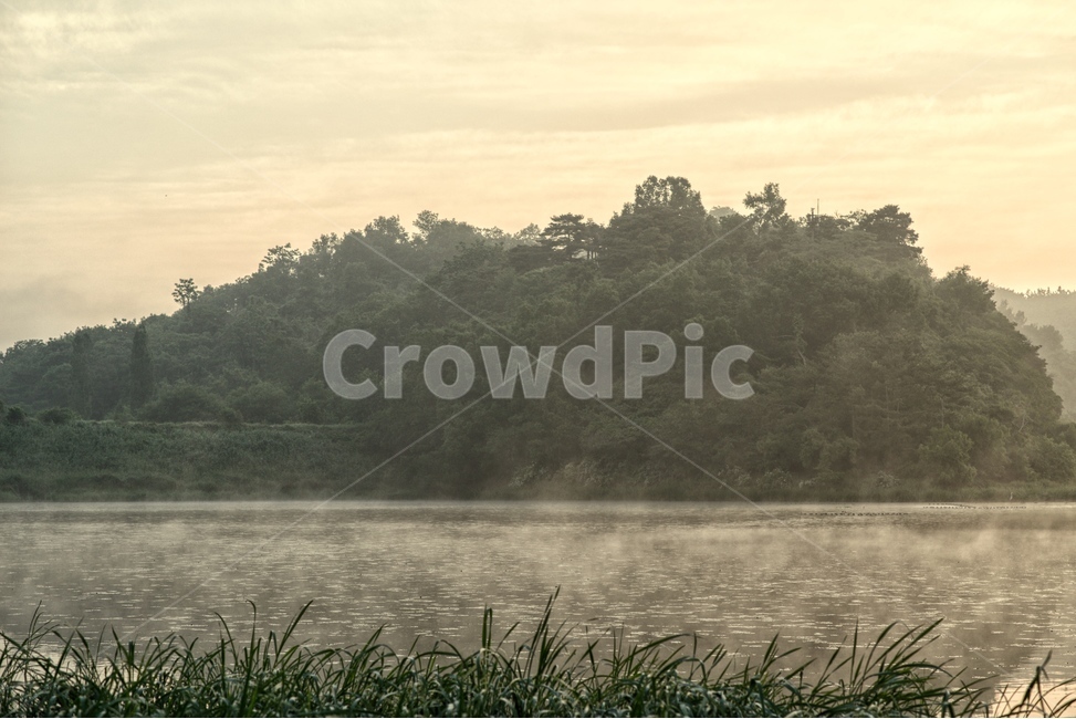 물안개,새벽,늪,일출,자연,풍경,몽환,자연,풍경,nature,landscape,한국자연풍경,한국자연경관,korea nature landscape,water,물,outdoors,옥외,land,땅
