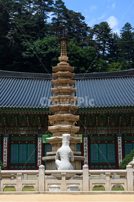 월정사,불교,절,오대산,종교,하늘,한국전통,한국문화,korean traditional,korean culture,조각상,동상,석상,조형물,statue,bronze statue,stone statue,종교,신앙,religion,belief,faith