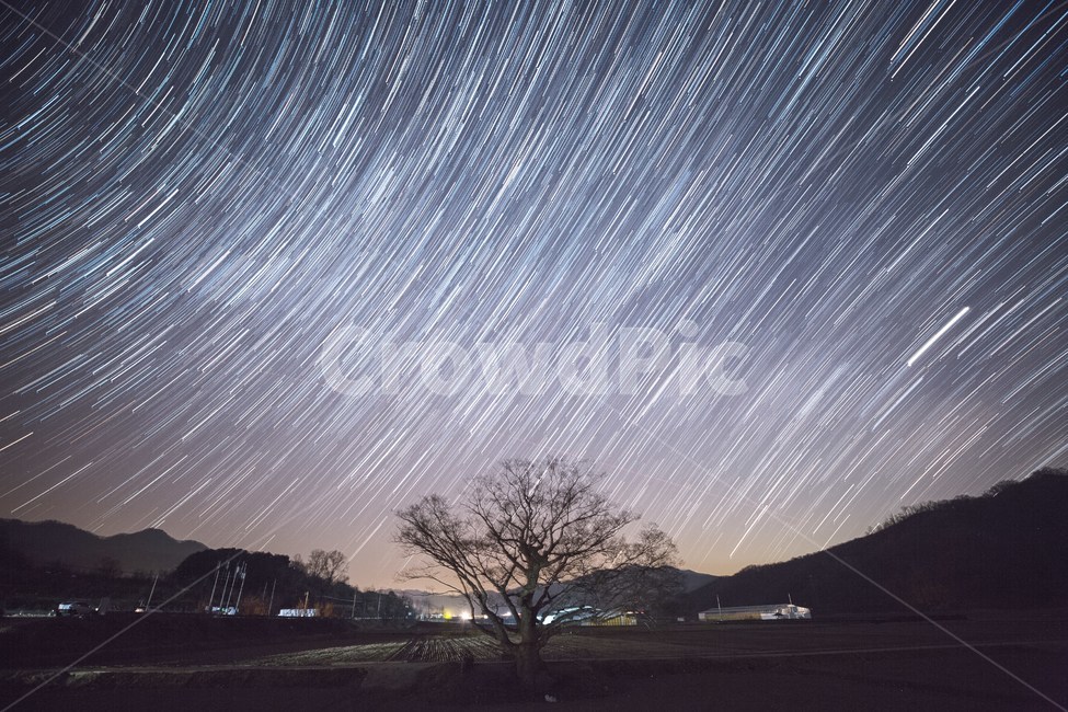 은하수,별궤적,왕따나무,밤,별,야경,밤,풍경,nightscape,night,landscape,nature,자연,outdoors,옥외