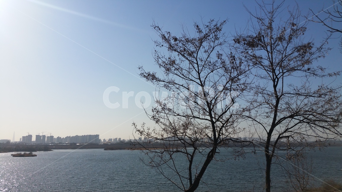 하늘,풍경,나무,한강,강,자연,sky,nature,tree,river,자연,풍경,nature,landscape