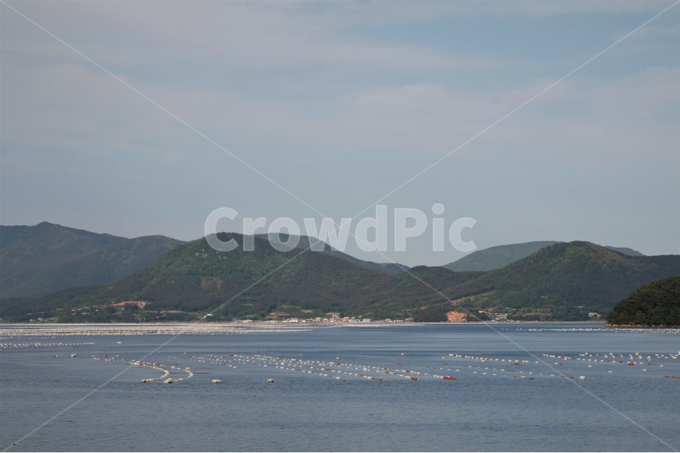 남해,바다,가두리,양식장,풍경,자연,풍경,nature,landscape,산업,industry,industrial,어업,fishery,fishing industry,land,땅,outdoors,옥외,shoreline,해안선,water,물,sea,ocean,대양,coast,연안