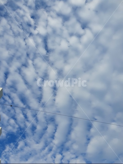 하늘,구름,자연,맑음,cloud