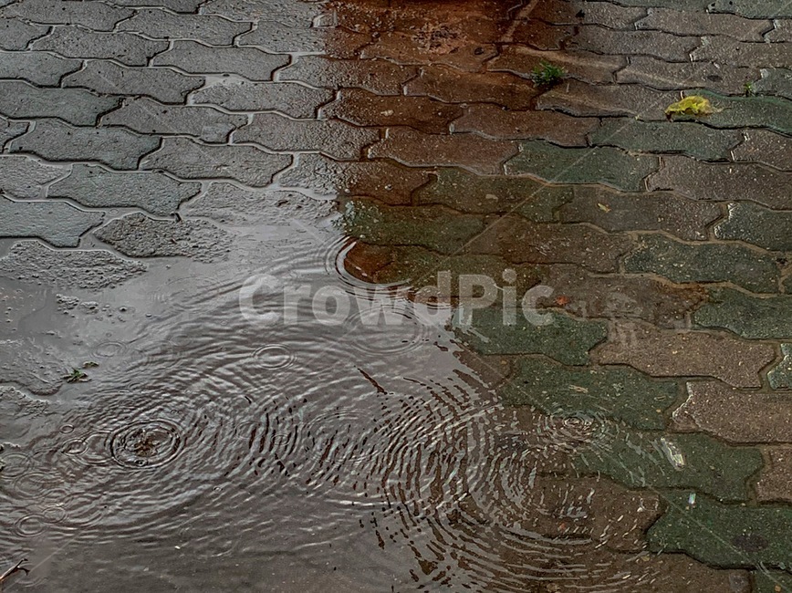 바닥,물,비,땅,water,비,비오는날,rain,rainy