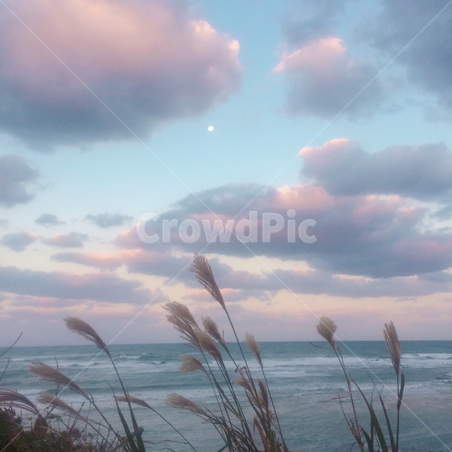 바다,자연,파도,하늘,구름,sea,nature,wave,sky,cloud