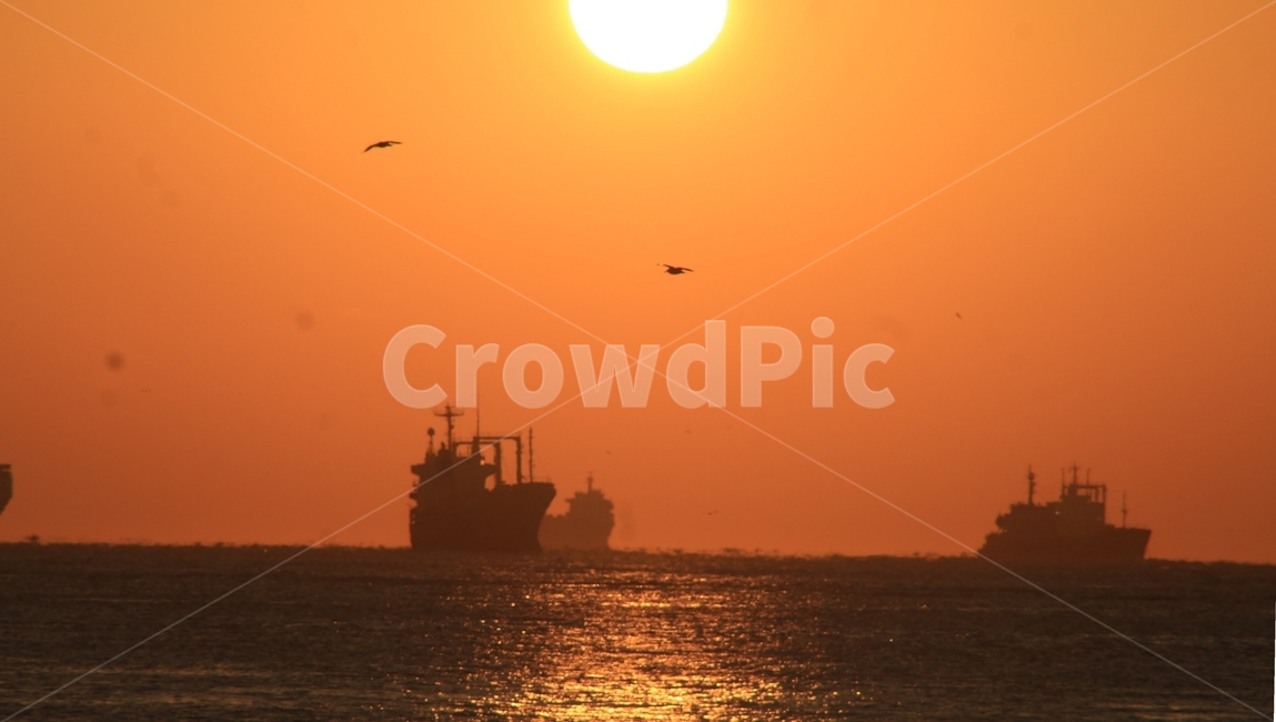 일출,해,새해,풍경,바다,자연,풍경,nature,landscape,교통,교통수단,traffic,transportation,boat,보트,vehicle,차량,animal,동물,bird,새