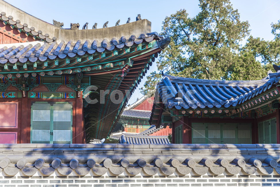 고궁,기와,창경궁,문화유산,기와담장,문화재,한국의미,처마,지붕,담벼락,채색,담장,한국전통,한국문화,korean traditional,korean culture,건축물,건물외관,exterior,building,structure,architecture,construction