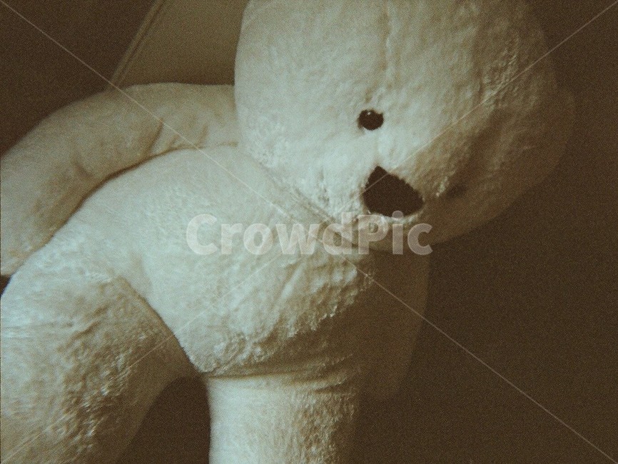 인형,곰인형,곰,감성인형,필름,필카사진