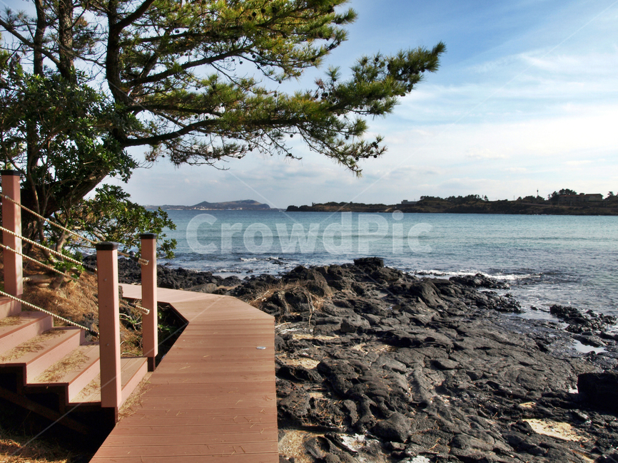 목책,하도해변,올레21코스,올레,제주,바다,올레길,소나무,자연,풍경,nature,landscape,제주도,jeju,jeju island,boardwalk,산책로,bridge,다리,building,건물