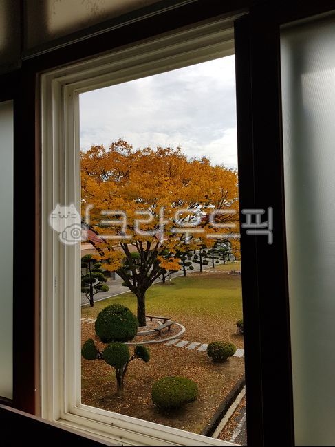 가을,창문가가을,11월가을,창문너머,창가가을,가을단풍