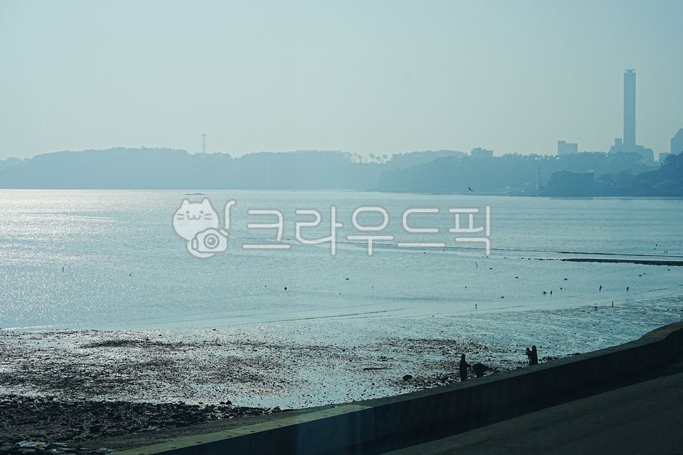 바다,자연,풍경,파도,잔잔한,갯벌,서해,뻘,오션,수평선