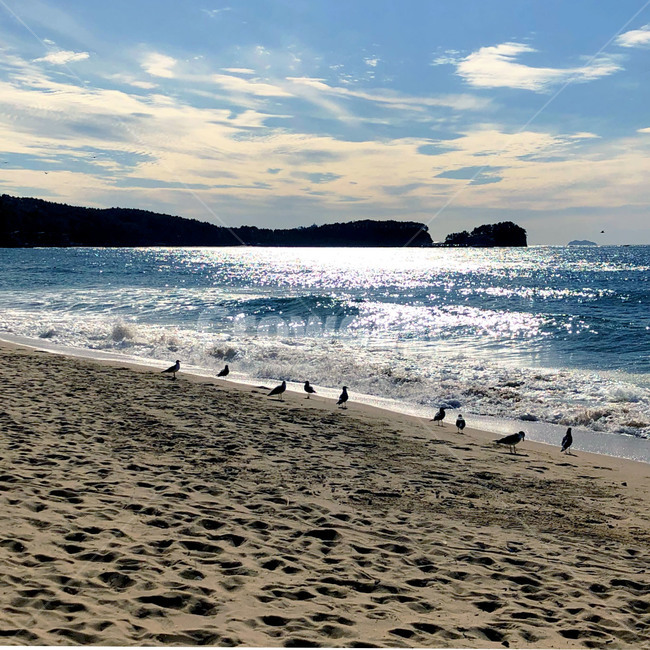 파도,하늘,구름,자연,물,해안선,outdoors,nature,sea,ocean,sky,water,푸른,시원한,바다,자연,풍경,nature,landscape,해변,바다,beach,sea,조류,새,birds,옥외,대양,shoreline