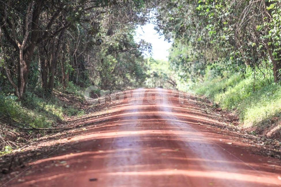우간다,아프리카,여행,무치슨폭포,시골길,자연,풍경,nature,landscape,road,도로,asphalt,아스팔트