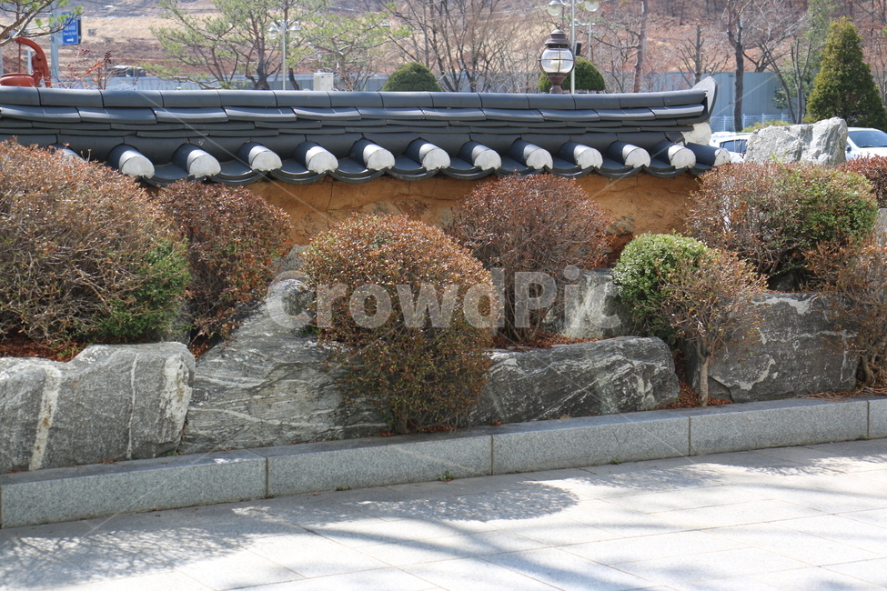 화단,식물,푸른,초록,정원,도심,공원,산책,화창한,시청,시흥,담벼락,장소,경기도,한국전통,한국문화,korean traditional,korean culture,식물,자연,plants,nature