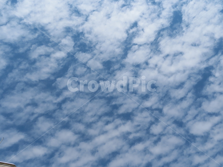 구름,하늘,자연,흰색,파랑색,아름다움,풍경,cloud,sky,white,blue,beauty,nature,scenery