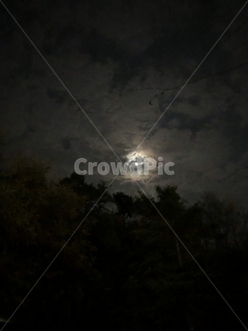 달,해를품은달,밝은달,moon,sky,어둠,밤,night,몽환적인,신비로운,야경,밤,풍경,nightscape,night,landscape,nature,자연,outdoors,옥외,weather,날씨