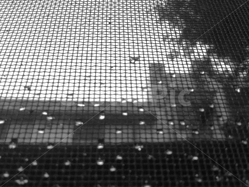 비,창,물방울,창밖,창문,비내리는날,비오는날,rainyday,rain,서울,우리집,문,창문밖,방울,흑백,흑백사진,감성사진,배경사진,배경,감성,감성,sensible,feeling,흑백,모노톤,monochrome,black and white