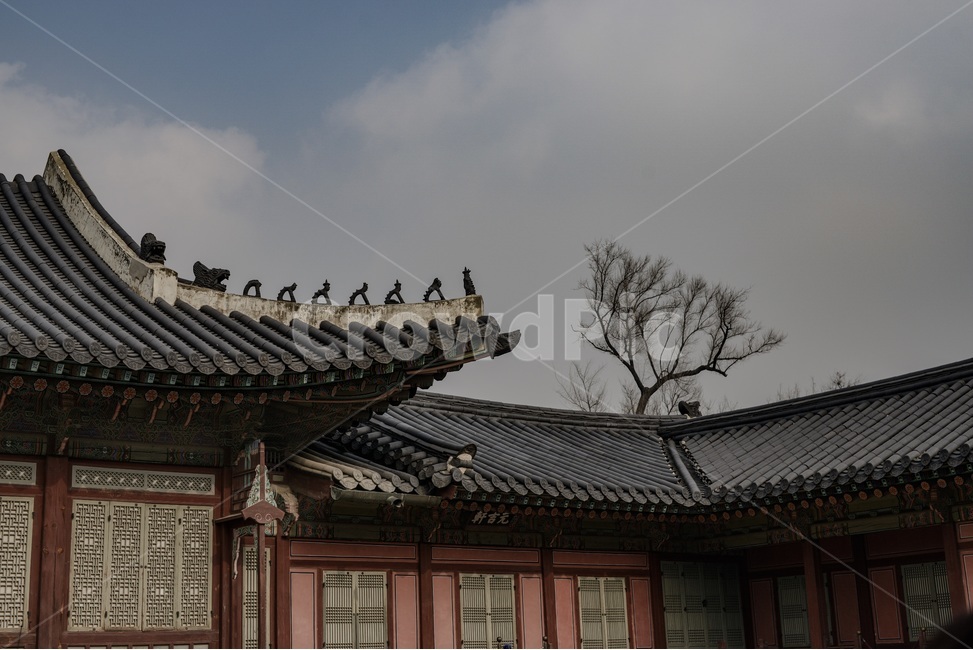 경복궁,문화재,서울,한옥,궁전,전통,한국건축양식,한국,종로,광화문,한국전통,한국문화,korean traditional,korean culture,건축물,건물외관,exterior,building,structure,architecture,construction