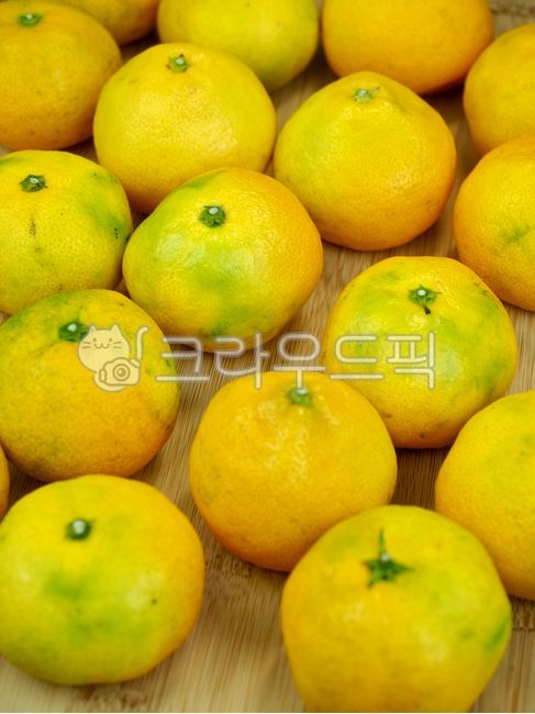귤,제주감귤,제주도특산품,감귤,과일,제주도,노랑,음식,배경,tangerine,jejutangerine,jejuislandspecialties,fruit,jejuisland,yellow,food,background,citrusfruit,감귤류과일,식물