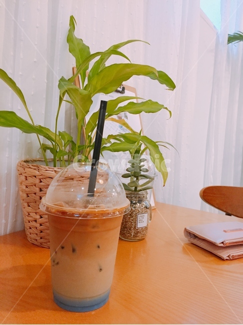 라뗴,카페,식물,분위기,바다라떼,커피,커피,카페,coffee,cafe