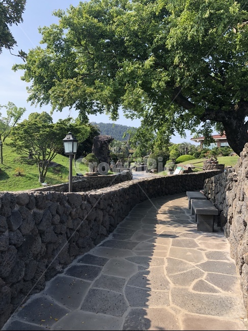 walkway,path,통로,제주,제주도,생각하는정원,나무,여름,초여름,자연,풍경,nature,landscape