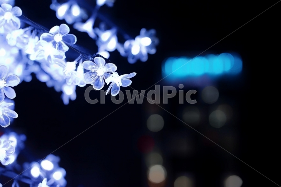 LED,꽃,나무,송도,불빛축제,야경,밤,풍경,nightscape,night,landscape,꽃,flower,crystal,결정