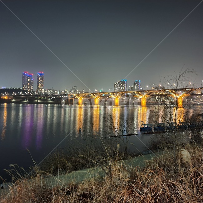 강,다리,야경,한강,밤,빌딩,물,갈대,서울,seoul,river,water