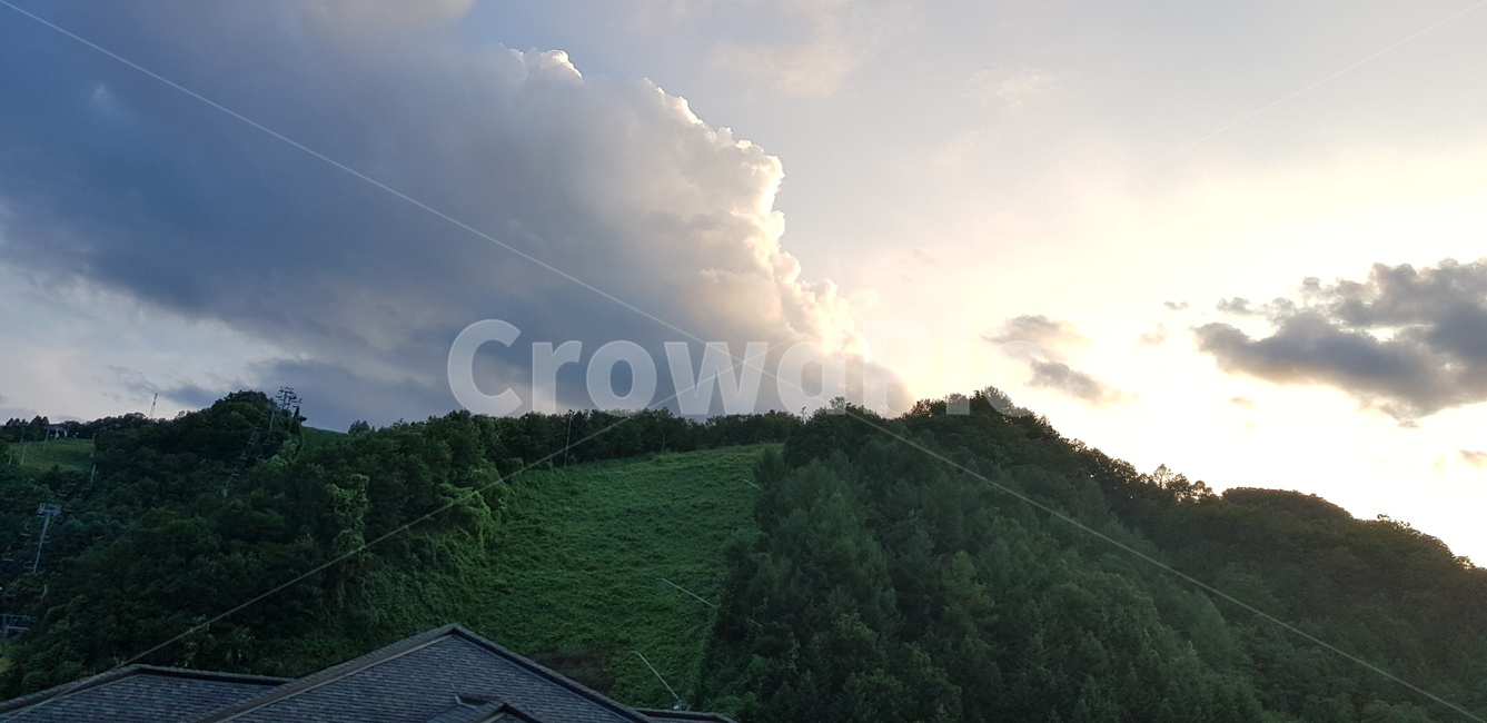 하늘,구름,sky,cloud,나무,tree