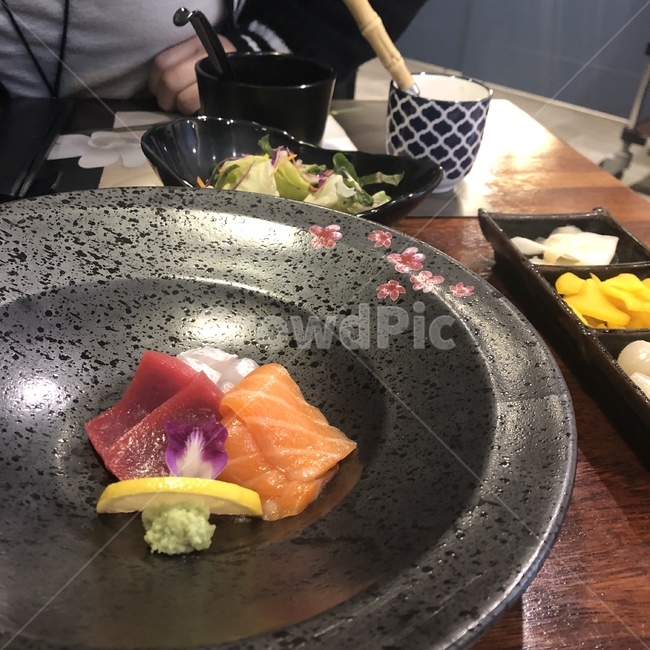 회,초밥,식사,일식,일본음식,외식,연어,참치,음식,식재료,요리,food,cook,meal,dishes,food reserves,수산물,해산물,fishery products,seafood,일식,일본음식,일본요리,Japanese food,Japanese dishes,Japanese meal,Japanese cook