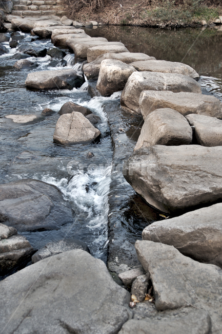 징검다리,돌,개울,물,학의천,시냇가,돌다리,자연,풍경,nature,landscape,water,rock,록,outdoors,옥외