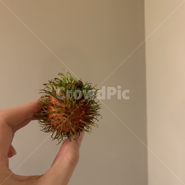 과일,달콤한,sweet,감성,손,네일,분위기,배경