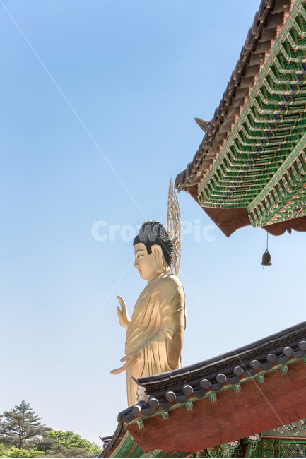 미륵불,입상,단청,추녀,문화유산,전통,건축,한국전통,한국문화,korean traditional,korean culture,조각상,동상,석상,조형물,statue,bronze statue,stone statue,종교,신앙,religion,belief,faith,건축물,건물외관,exterior,building,structure,architecture,construction