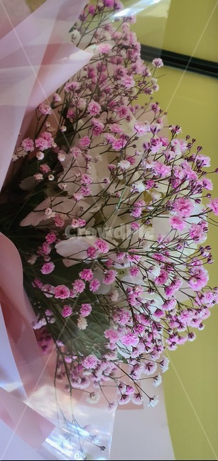 꽃,식물,꽃다발,축하,생명,컬러,flower,nature,hydrangea,birthday,colorful,background,decoration,day,florist,beautiful,arrangement,fresh,purple,festive,mix,wedding,decor,composition,top,botanic,holiday,concept,pink,present,bunch