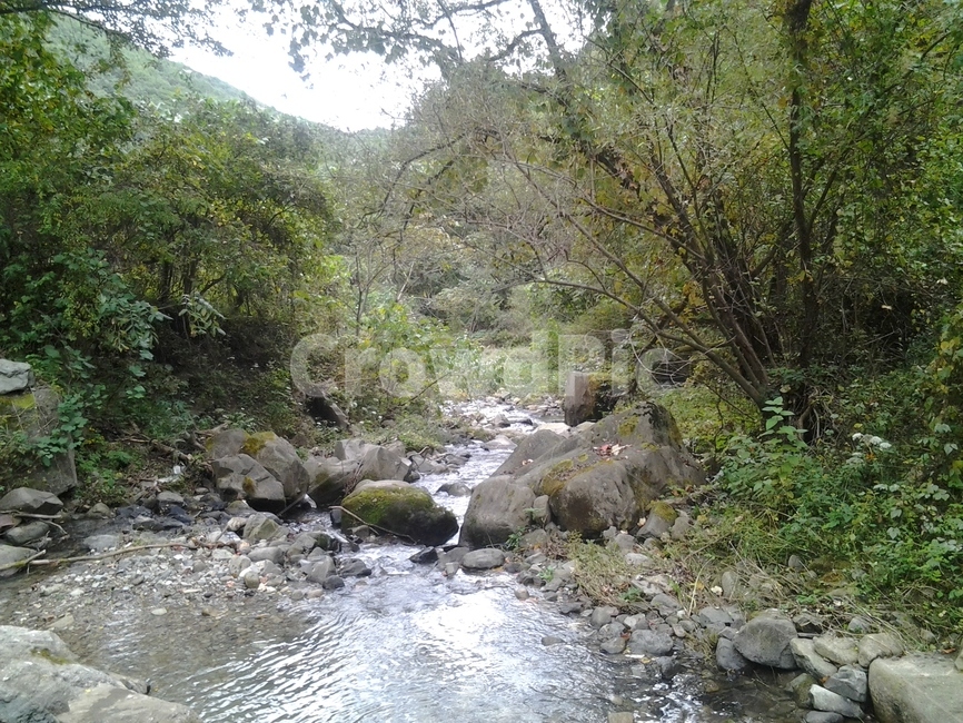 자연,물,냇가,흐름,nature,water,stream,자연,풍경,nature,landscape