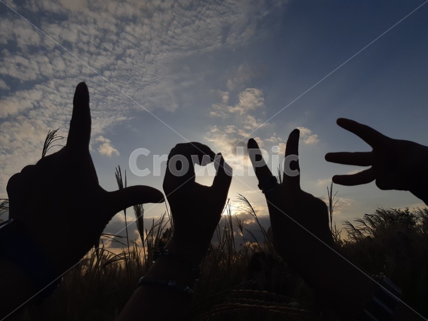 사랑,love,가족,손,글자,silhouette,실루엣,공원,손,제스처,표시,손짓,표현,gesture,hand,sign,expression,실루엣,그림자,silhouette,shadow