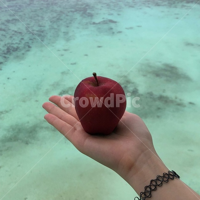 여자,여자손,손,사과,바다,모닝,팔찌,애매랄드빛,과일,열매,fruit