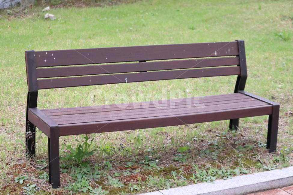 밴치,공원,풀,체어,새똥,나무,푸른색,그린,쉼