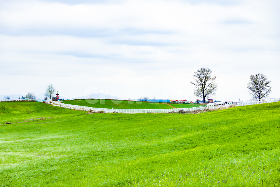 자연,들,힐링,초원,들판,봄,계절,spring,season,자연,풍경,nature,landscape,plant,식물,grass,잔디,field,outdoors,옥외
