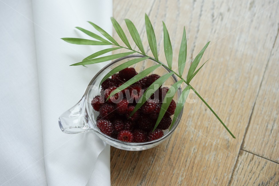 산딸기,열매,과일,라즈베리,raspberry,식물,자연,plants,nature,음식,식재료,요리,food,cook,meal,dishes,food reserves,과일,열매,fruit,연출,컨셉,콘셉,direction,concept