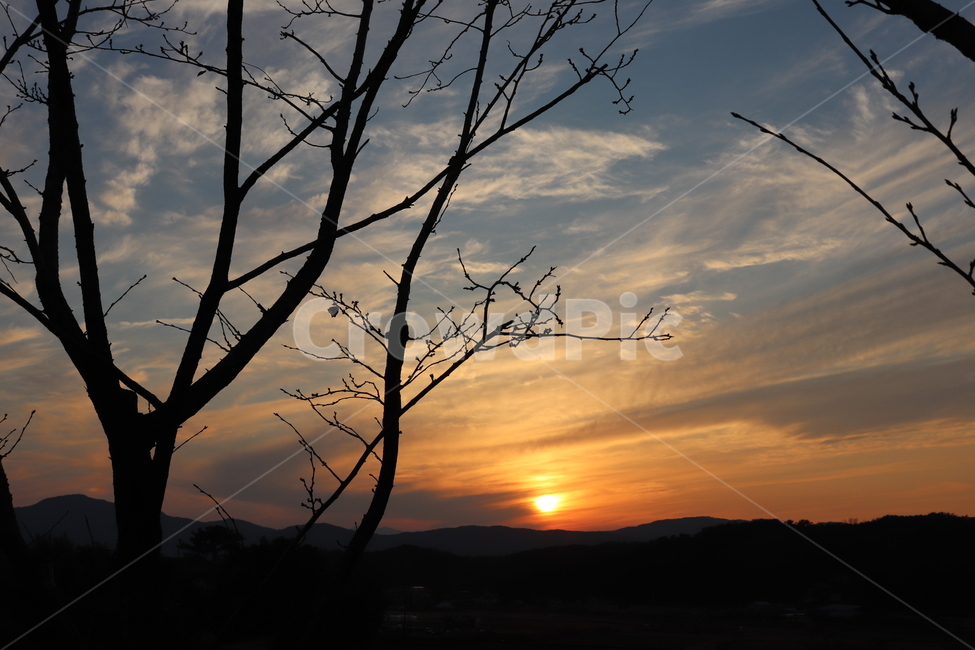 노을,석양,저녁,하늘,sunset,sky,나무,tree,밤하늘,가을하늘,겨울하늘,봄하늘,여름하늘,풍경,자연,풍경,nature,landscape,outdoors,옥외,일몰,dawn,새벽,red sky,붉은 하늘,dusk,황혼,sunlight,햇빛