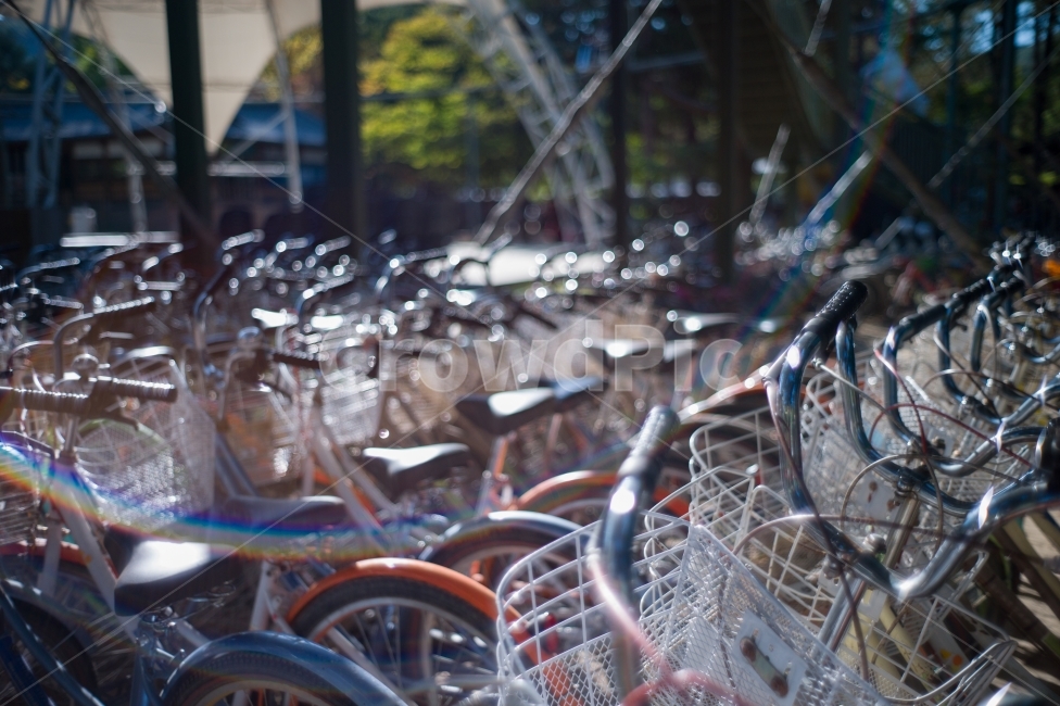 자전거,햇살,여행,감성,bicycle,sunshine,travel,sensibility,감성,sensible,feeling,교통,교통수단,traffic,transportation,wheel,바퀴,machine,기계,bike,vehicle,차량,motorcycle,오토바이