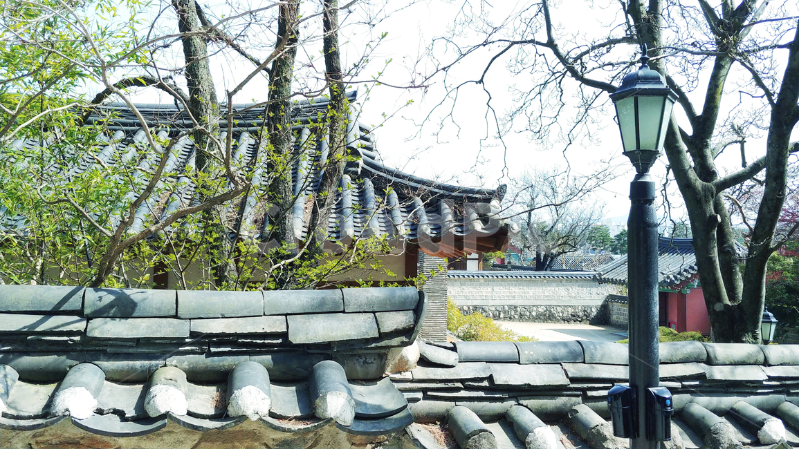 한옥,기와,전통가옥,나무,한국전통,한국문화,건축물,koreanculture,koreantraditional,기와집,한국전통,한국문화,korean traditional,korean culture,건축물,건물외관,exterior,building,structure,architecture,construction
